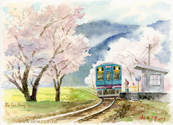 Tarumi Train With Cherry Blossoms_Kochibora Station_Tarumi Line_Japan_日本樽見鐵道_賞櫻列車_48188_賴英澤 繪_painted by Lai Ying-Tse
